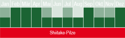 Shiitake-Pilze